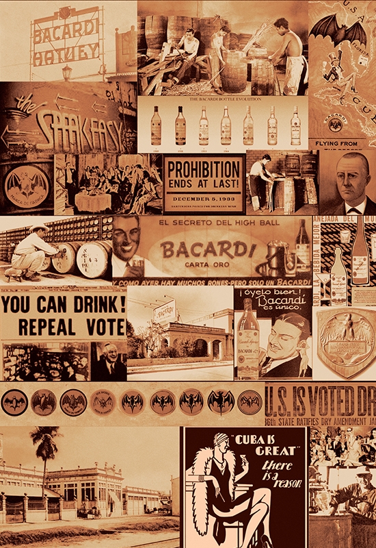 Bacardi project detail 1