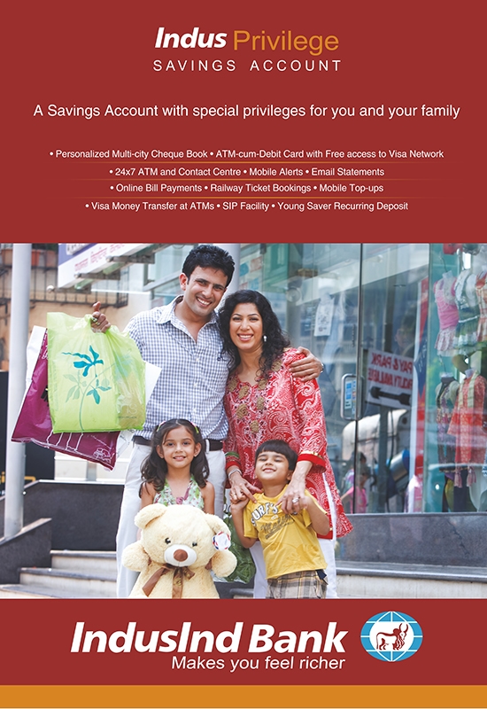 IndusInd Bank project detail 2