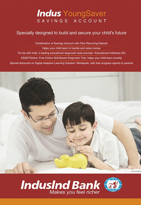 IndusInd Bank project detail 3