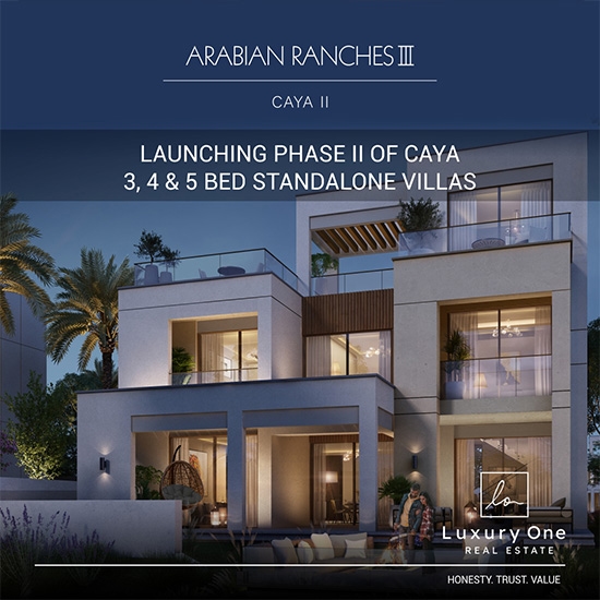 Luxury One project detail 1